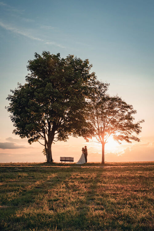 romantická vyhlídka, západ slunce, opuštěné stromy, svatební fotka, novomanželé, svatba v Orlických horách, focení při západu slunce 